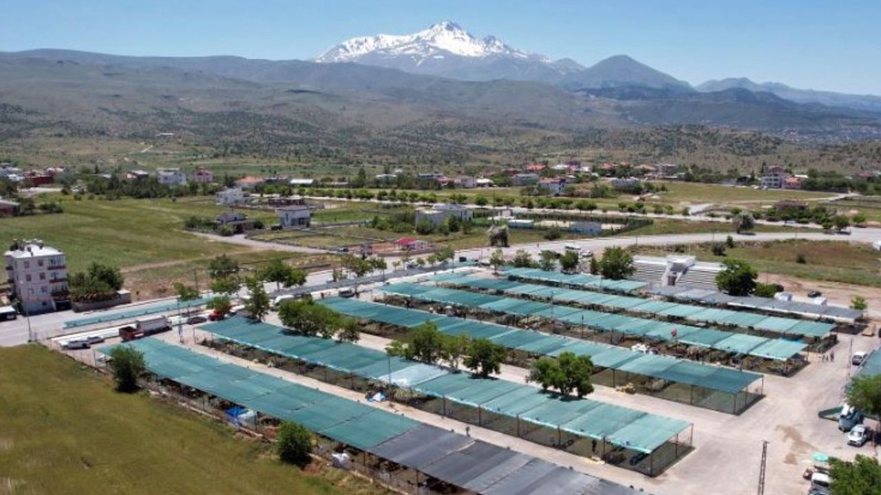 Kayseri'nin ve Kayserilinin Gözdesi Yine O Oldu!