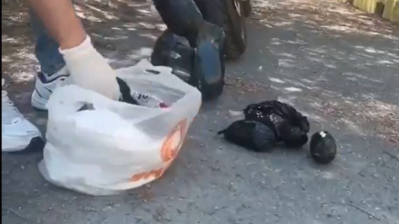 Kayseri'de Uyuşturucu Tacirine Nefes Kesen Operasyon!