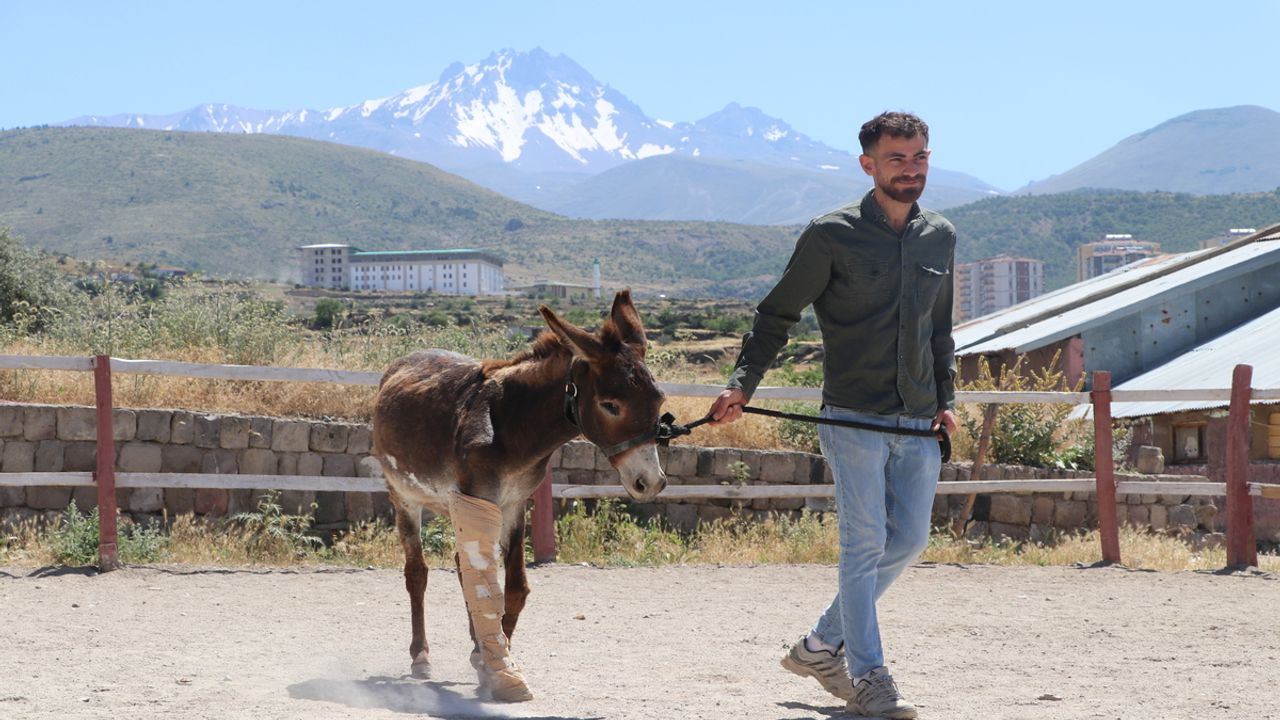 Kayseri'de Şaşırtan Olay! Terk Edilen Eşeğe Bakın Kim Sahip Çıktı...