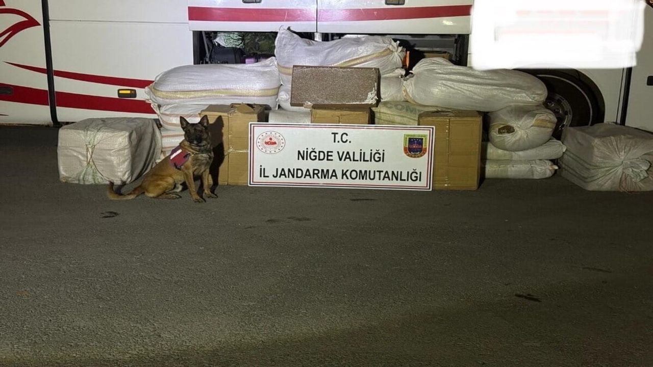 80 Bin Makaron Ele Geçirildi!