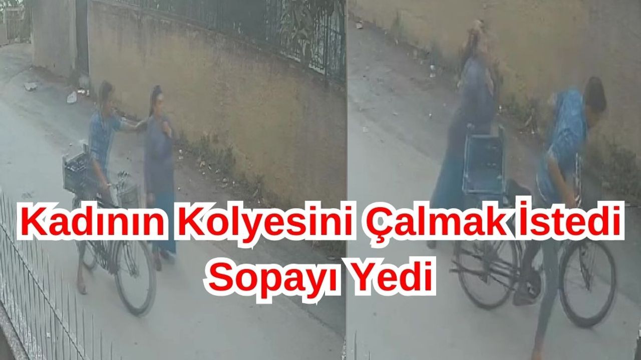 Kadının Kolyesini Çalmaya Çalıştı! Ağaç Dalıyla Dayak Yedi