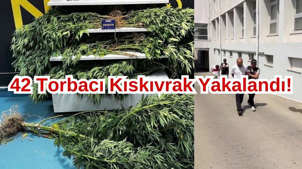 Büyük Operasyon 42 Torbacı Yakalandı!