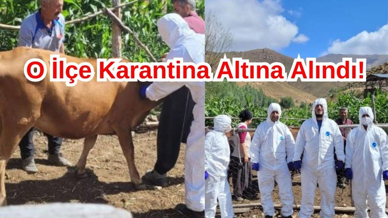 O İlçe Karantina Altına Alındı! Hayvan Giriş Çıkışı Yasaklandı