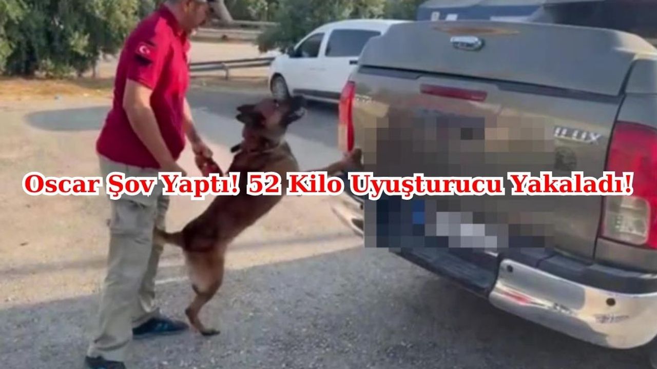 Dedektör Köpeği Oscar 52 Kilo Uyuşturucu Yakalandı!