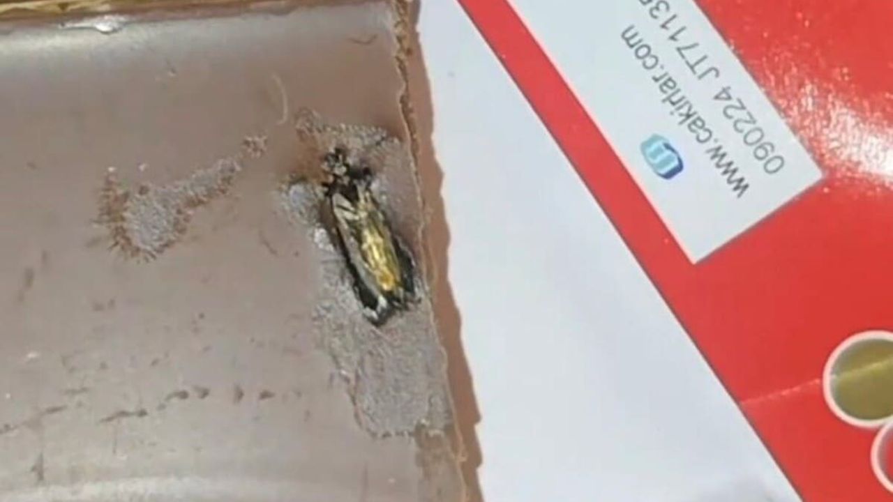 Çikolata Devinden Şok Eden Skandal ! İçerisinden Böcek Çıktı !