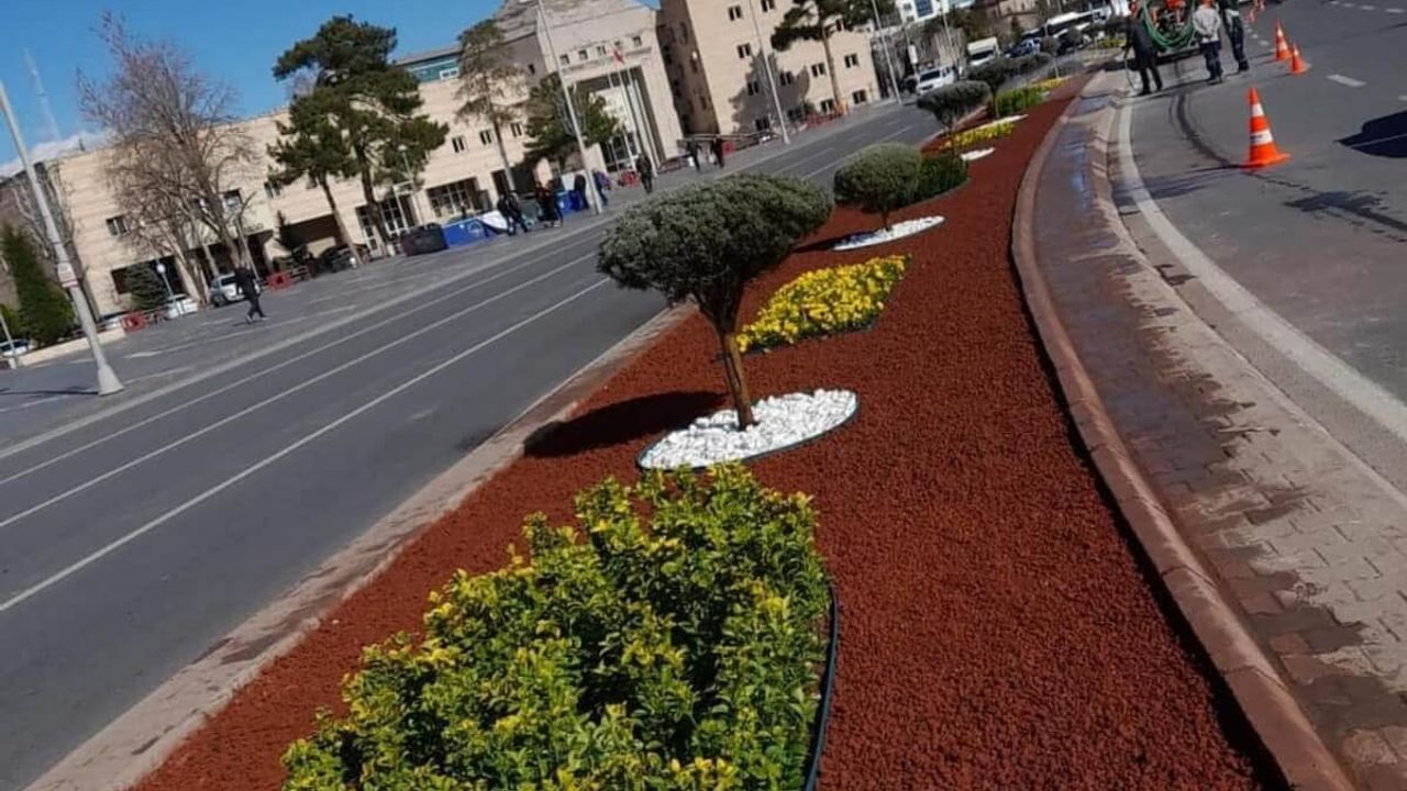Kayseri’de Bu Çiçeklerin Adını Daha Önce Duydunuz Mu?