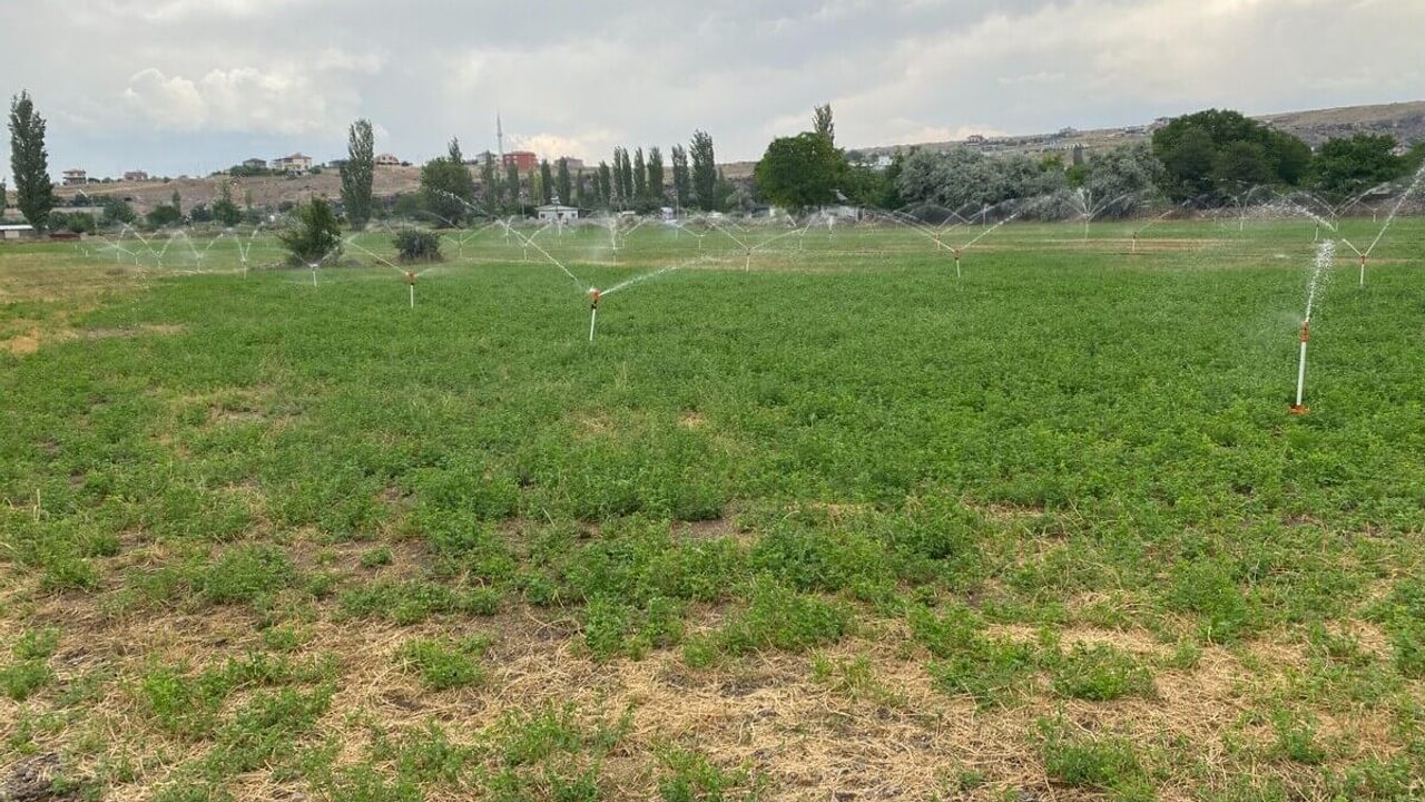 Kayseri’de Dikkat Çeken Çalışma! 5 Bin Vatandaşa Hizmet Veriyor!