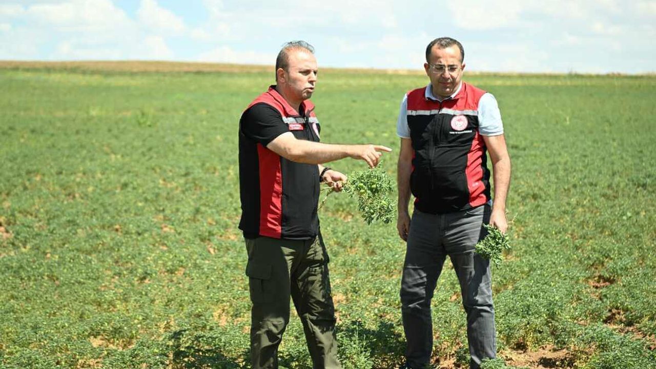 Kayseri’de Müdür Sahaya İndi ve Uyardı!