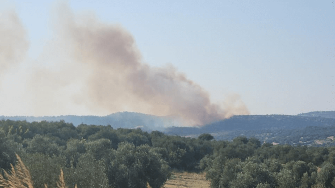Çanakkale’de Havadan Ve Karadan Müdahale! Orman Yangını Hızla Yayılıyor!