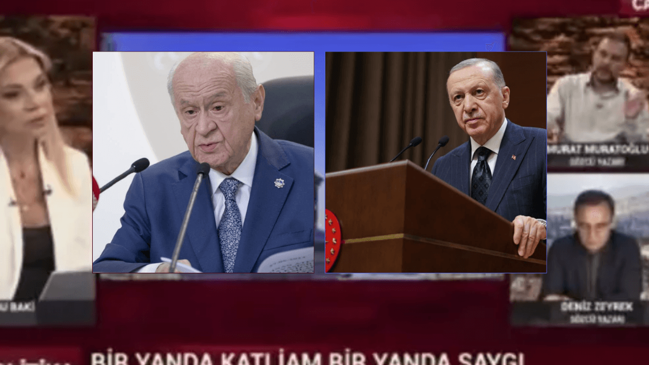 Destek Olan da Var Köstek Olanda! Sokak Hayvanlarına Yönelik O Öneri Mide Bulandırdı!