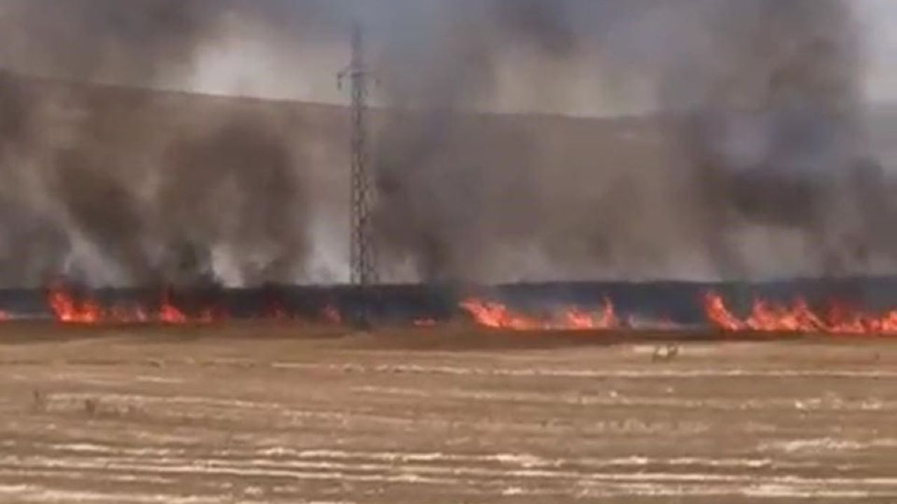 Nevşehir Felaketi Yaşadı! Tarlalar Küle Döndü