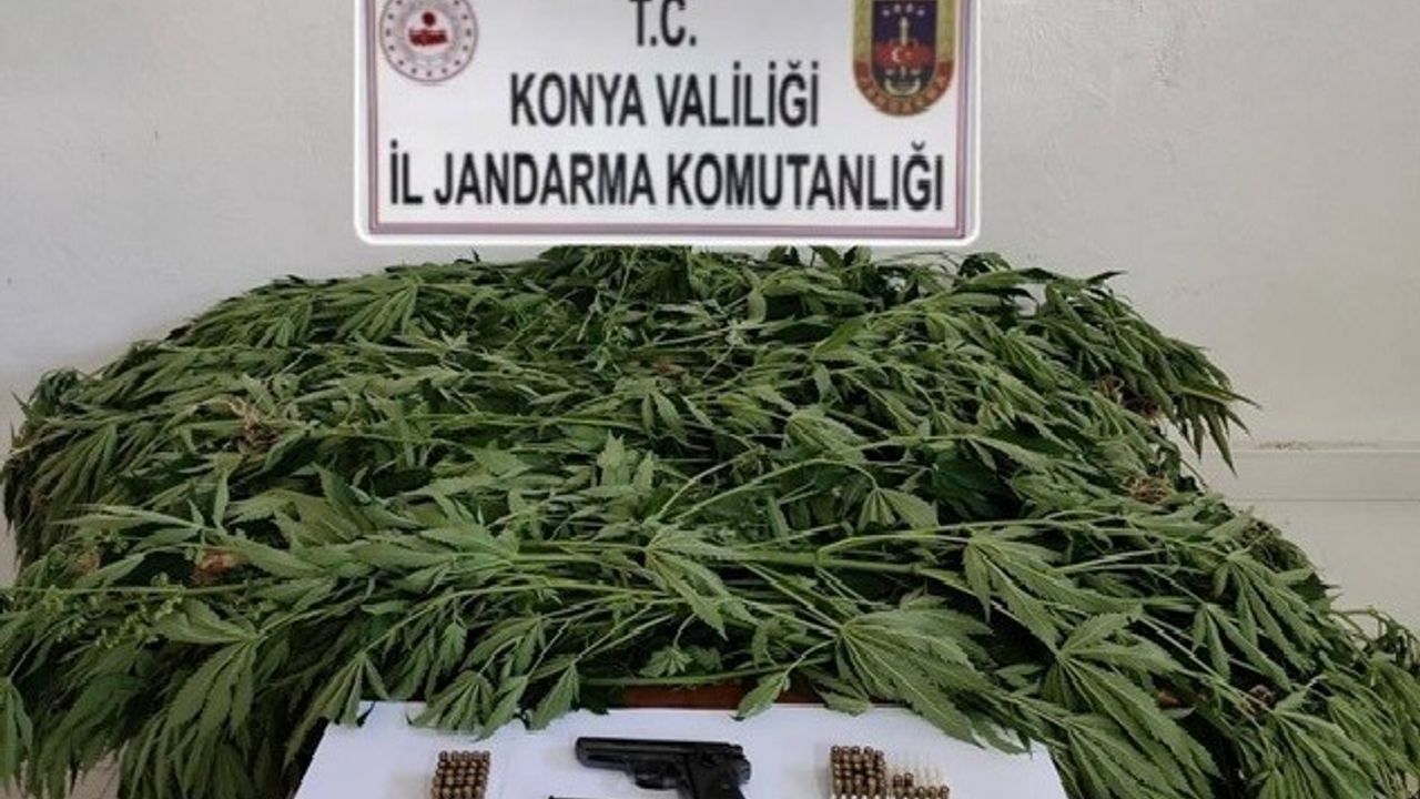 Büyük Uyuşturucu Operasyonu!