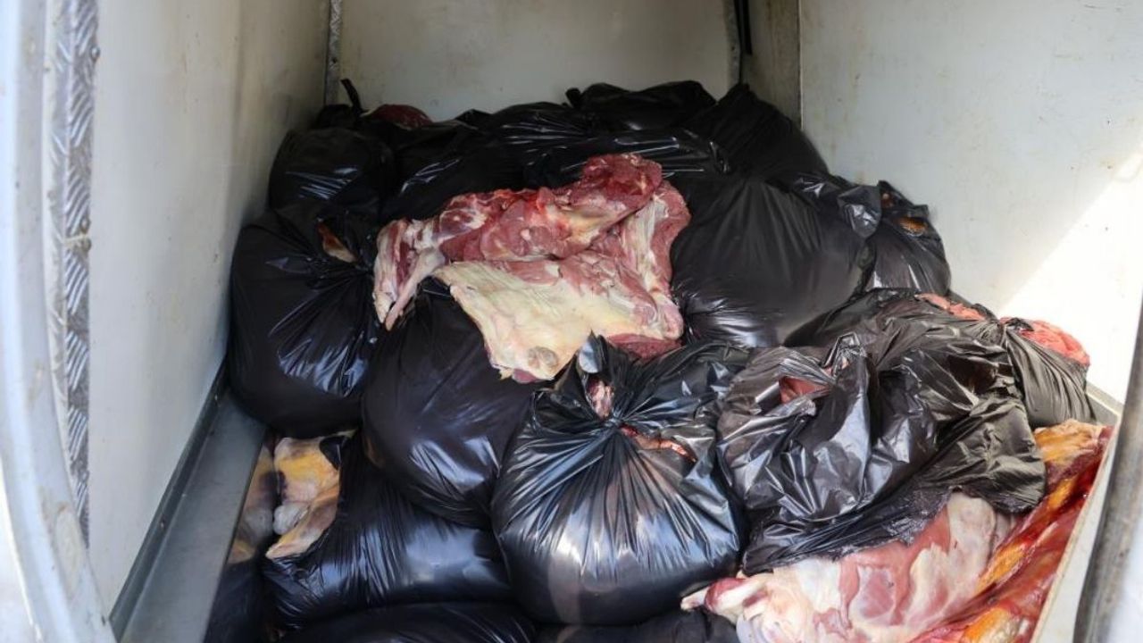 1.5 Ton At ve Eşek Eti Yakalattı! Bakın Savunması Nasıl şok Etti