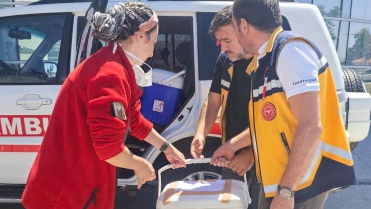 1 Yaşındaki Bebeğin Beyin Ölümü Gerçekleşti 4 Kişi Organları İle Hayata Tutundu!