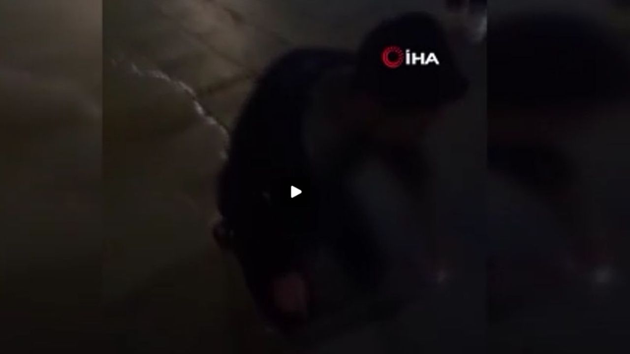 Zanlı Tutuklandı! Yozgat'ta Gerçekleşen Cinayette Gelişme!