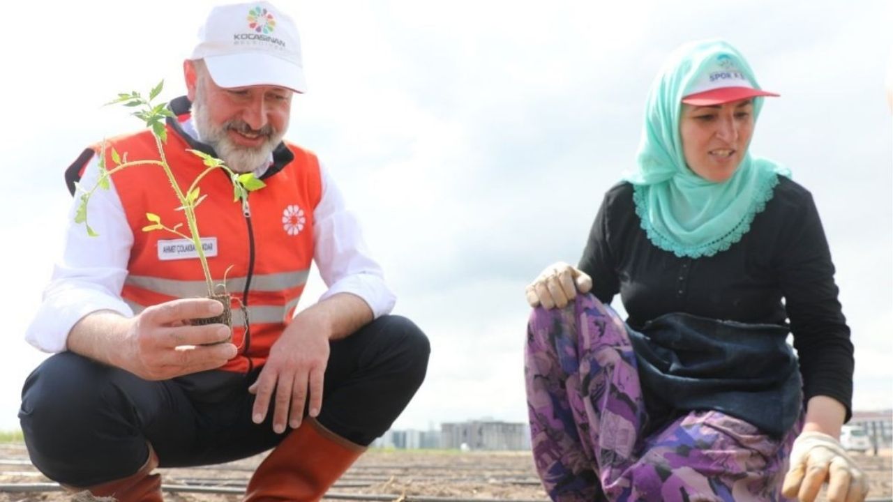 Kayseri Türkiye'ye Örnek Oluyor! Şehrin Merkezinde Tarım Alanı!