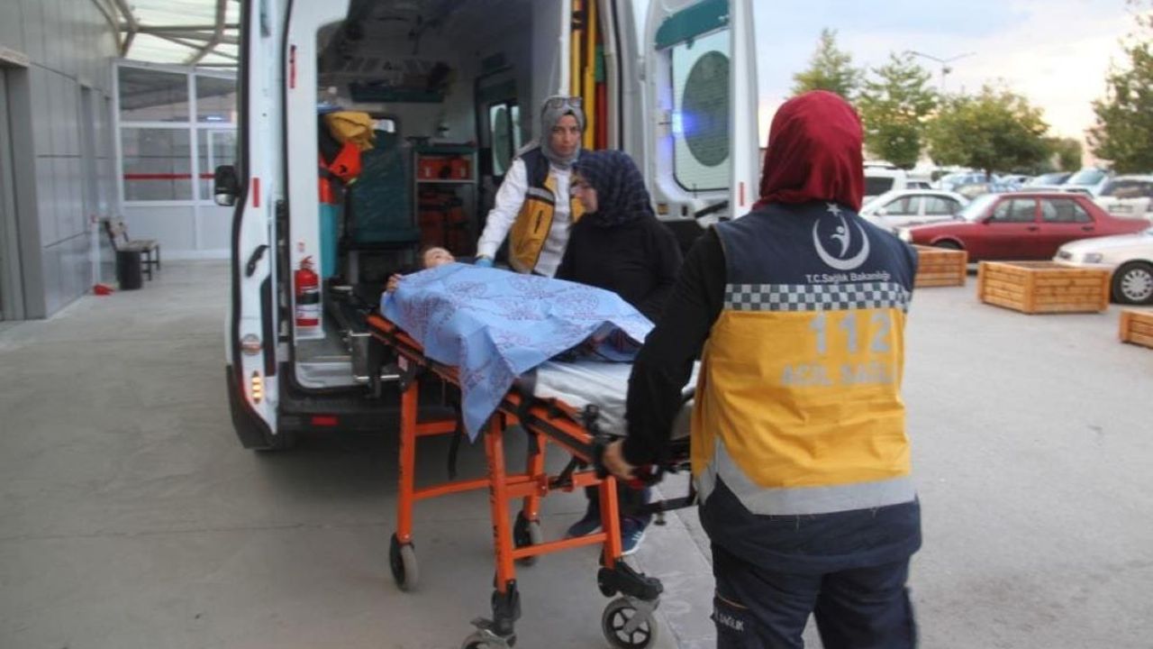 Başıboş Köpekler Çocuk Parkında Dehşet Saçtı!