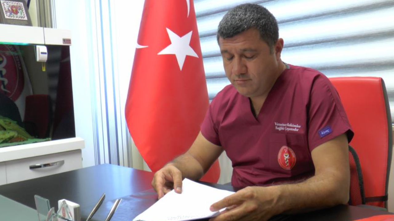 Kayserili Hekimden Sokak Hayvanlarına Yönelik Çözüm Önerisi