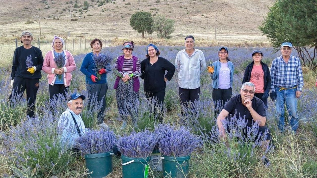 Kayseri’nin Cennetinde Hasat Başladı!