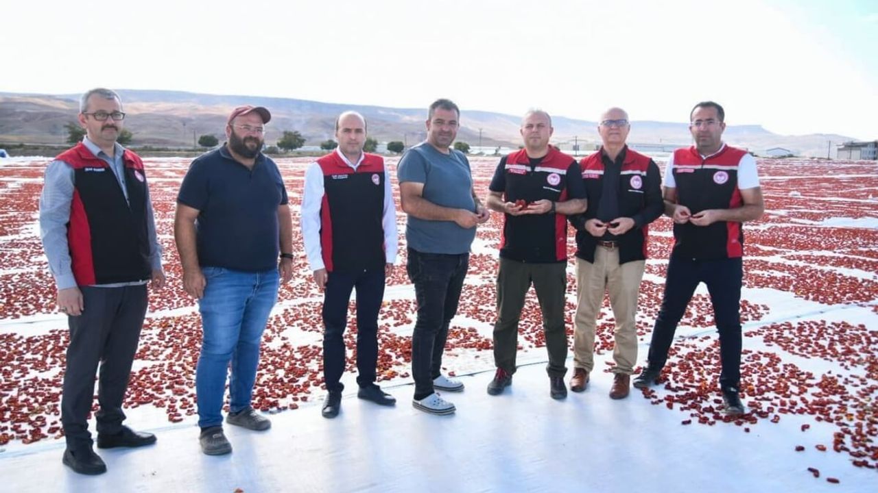Kayseri’nin İlçesinden Avrupa Ülkelerine İhraç Ediliyor!