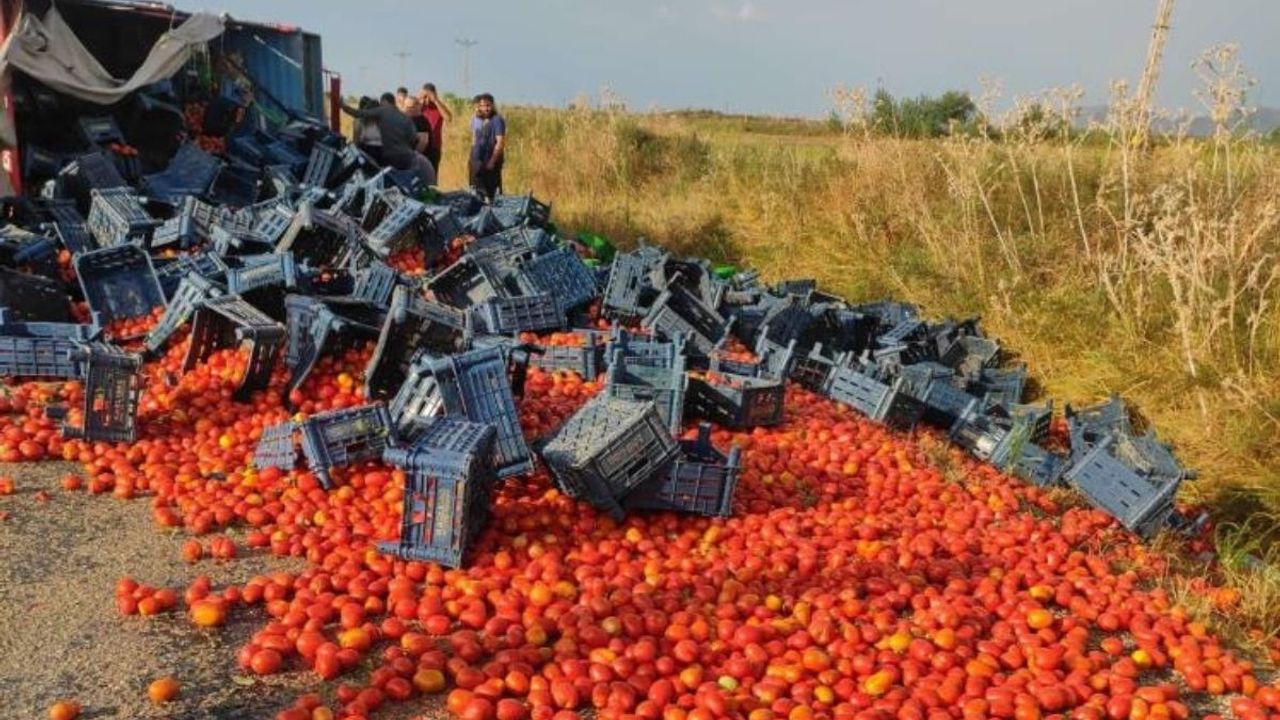 Domates Yüklü Kamyonet Devrildi! Yol Kırmızıya Boyandı!