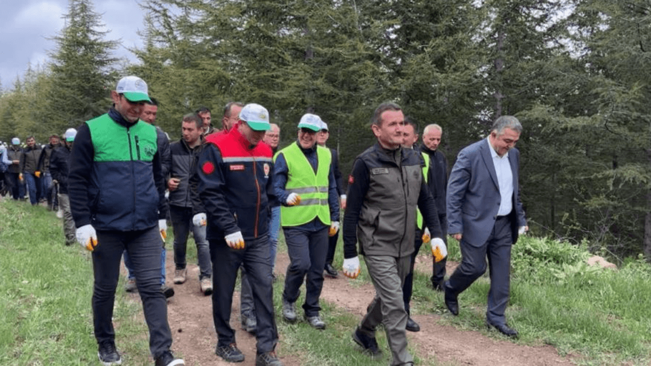 Kayseri’nin O İlçesi Ağaçlarla Zenginleşiyor!
