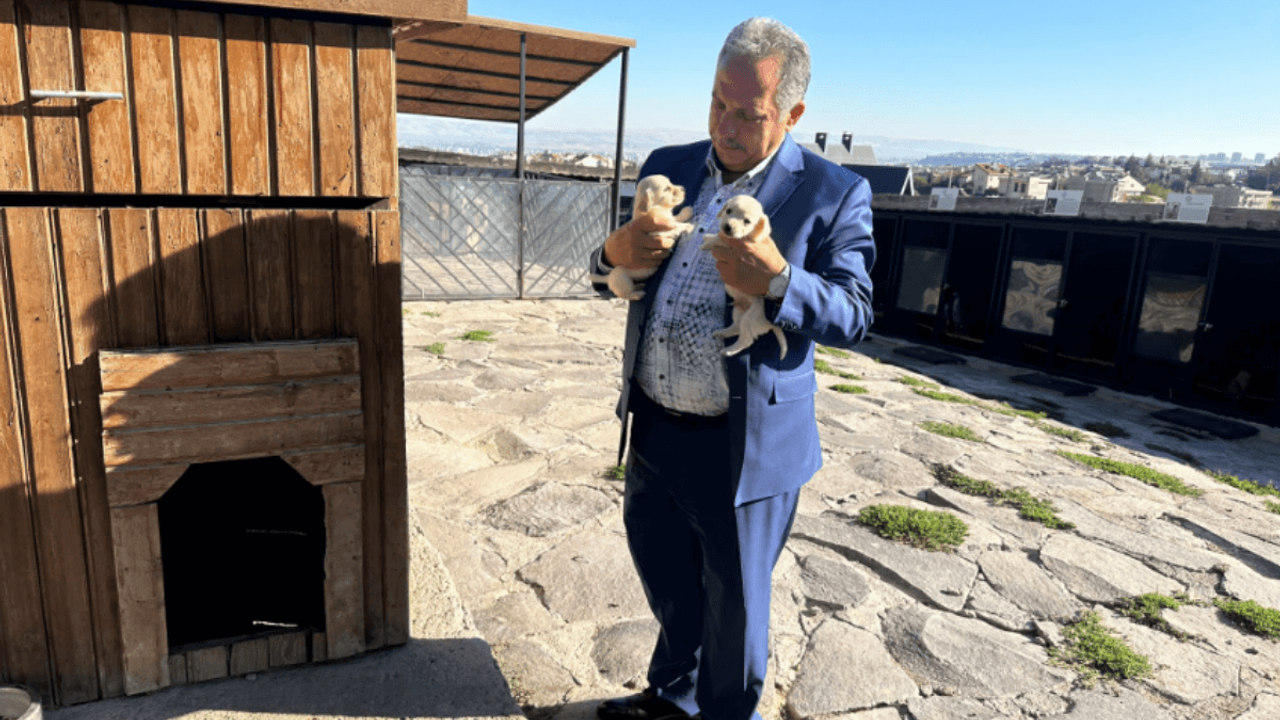 Kayseri Ali Dağı'nda Onları Gören Sevgiye Boğuluyor!