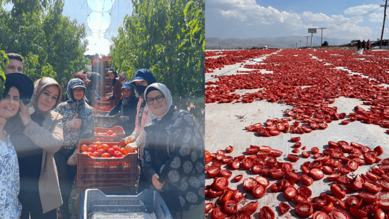 Kayserili Vekilden Dikkat Çeken Yeşilhisar Açıklaması!