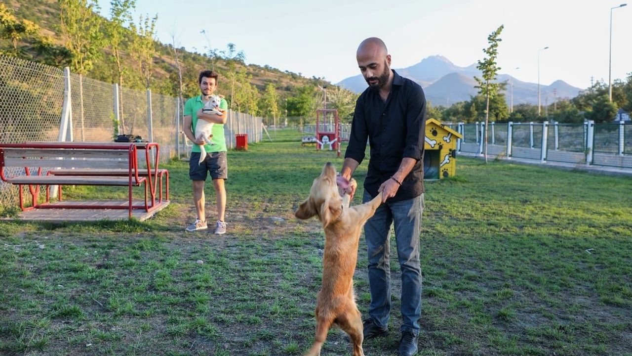 Talas'tan Minik Dostlarımıza Sürpriz!