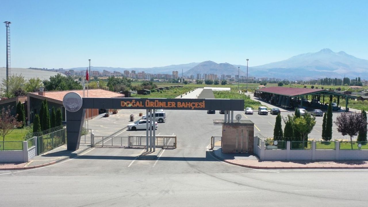 Kayseri'de Herkes O Organik Pazara Gidecek!
