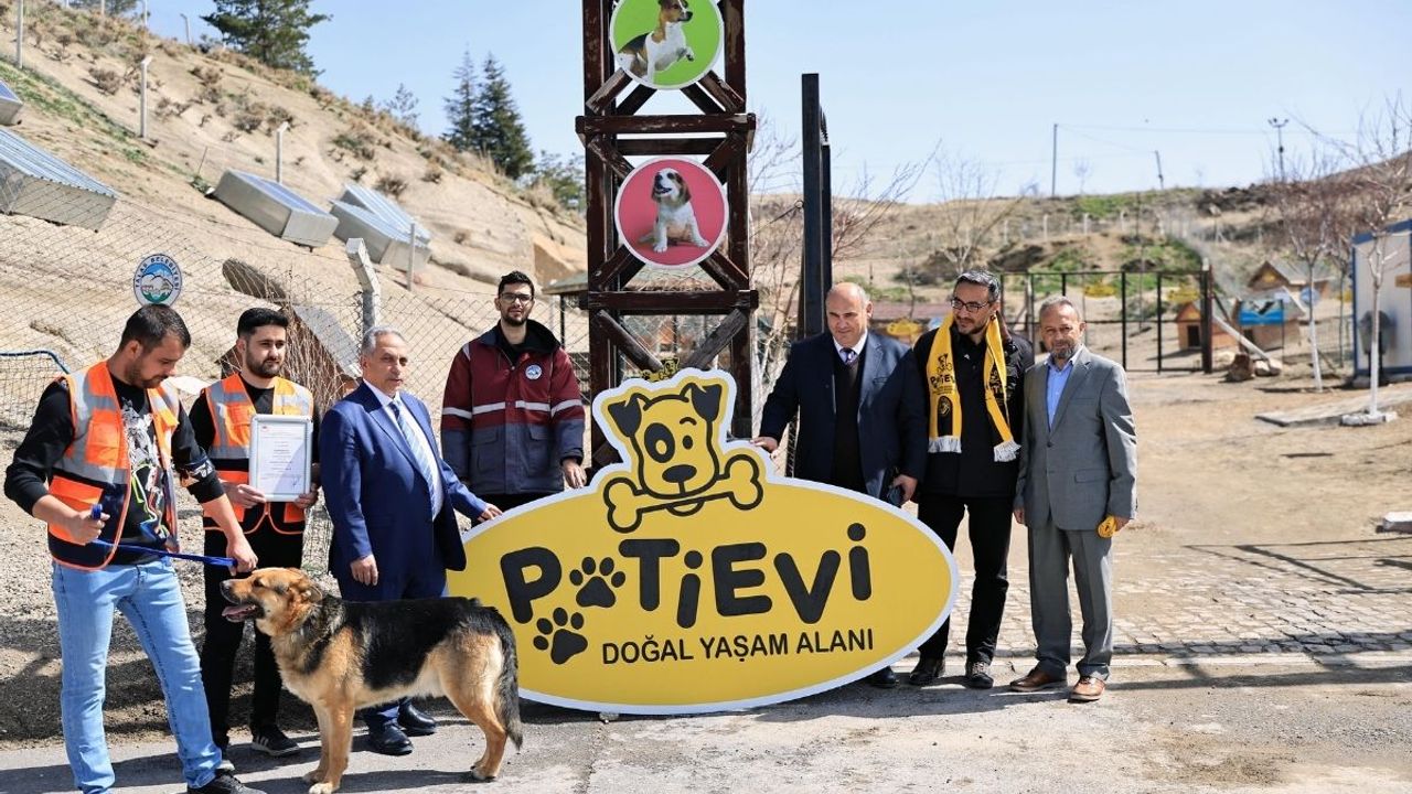 Kayseri'de Başıboş Köpeklere Sıcak Yuva!
