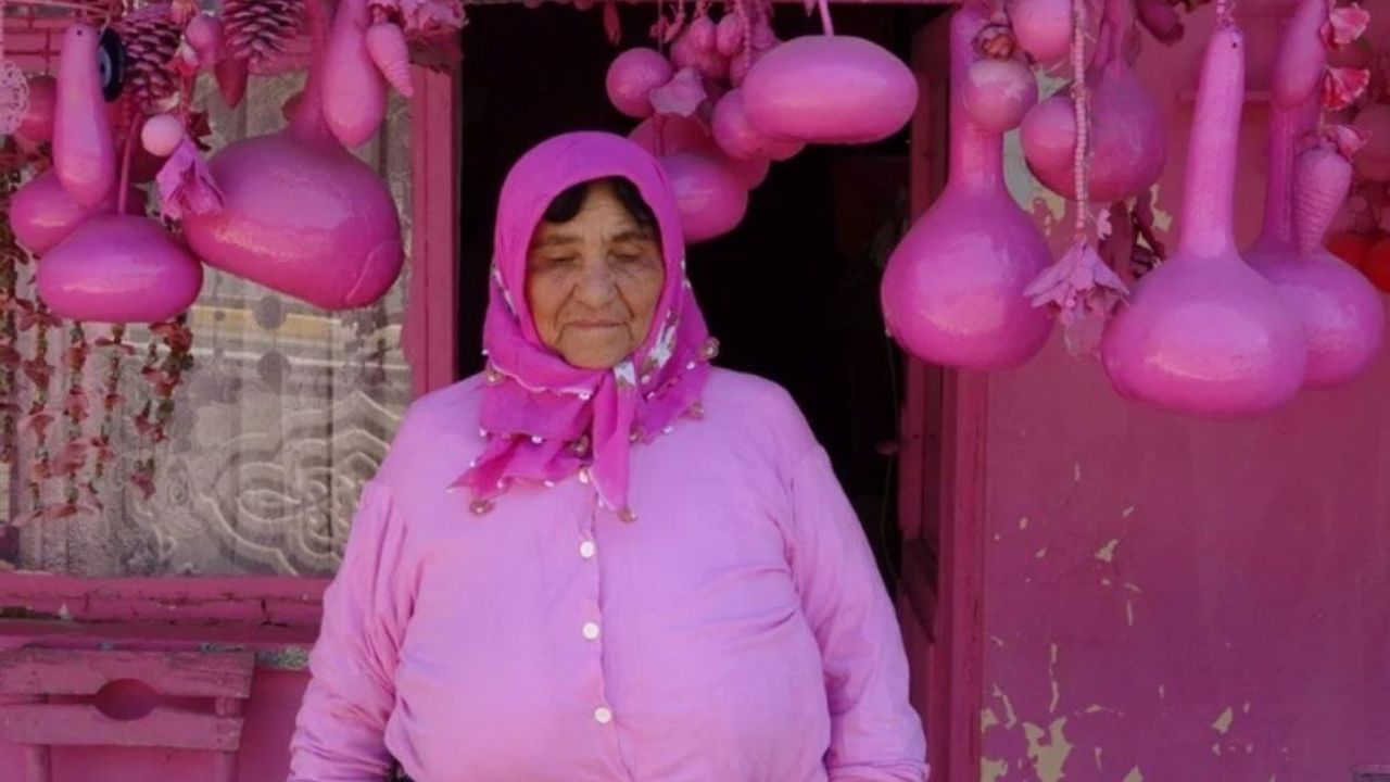Barbie Teyze! Evi Saran Pembe Aşkı!