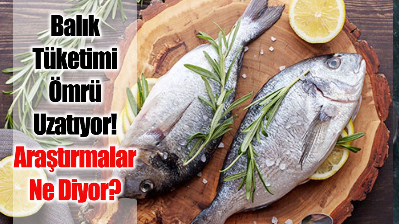 Balık Tüketimi Ömrü Uzatıyor! Araştırmalar Ne Diyor?