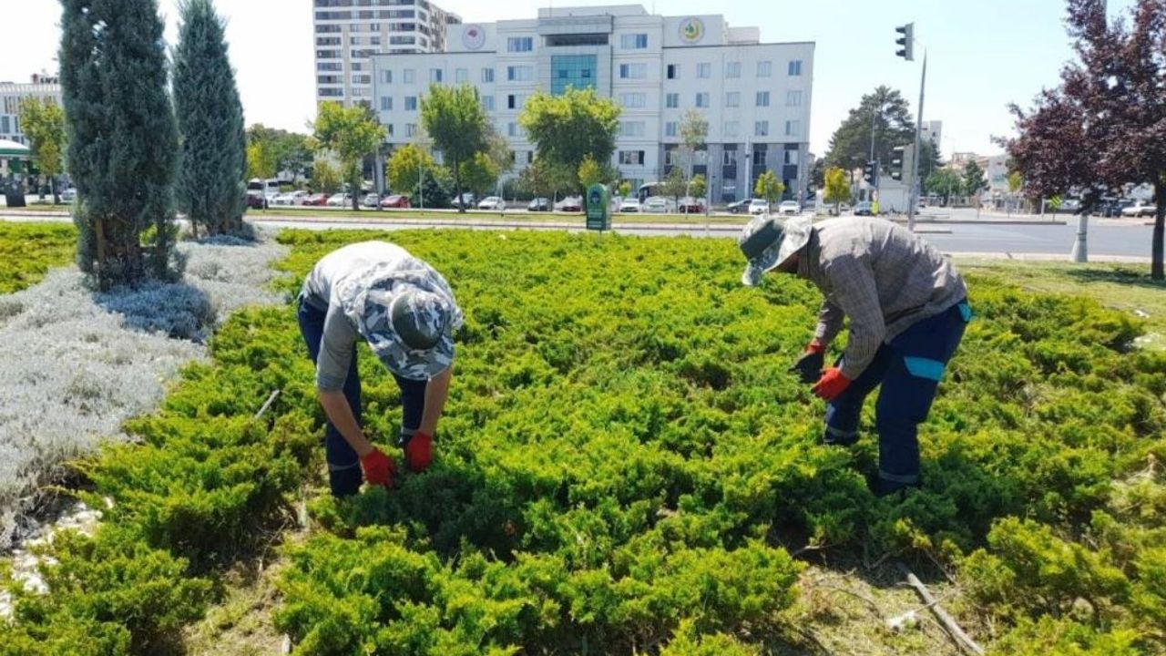 Kayseri Onlar Sayesinde Daha Yeşil Olacak!