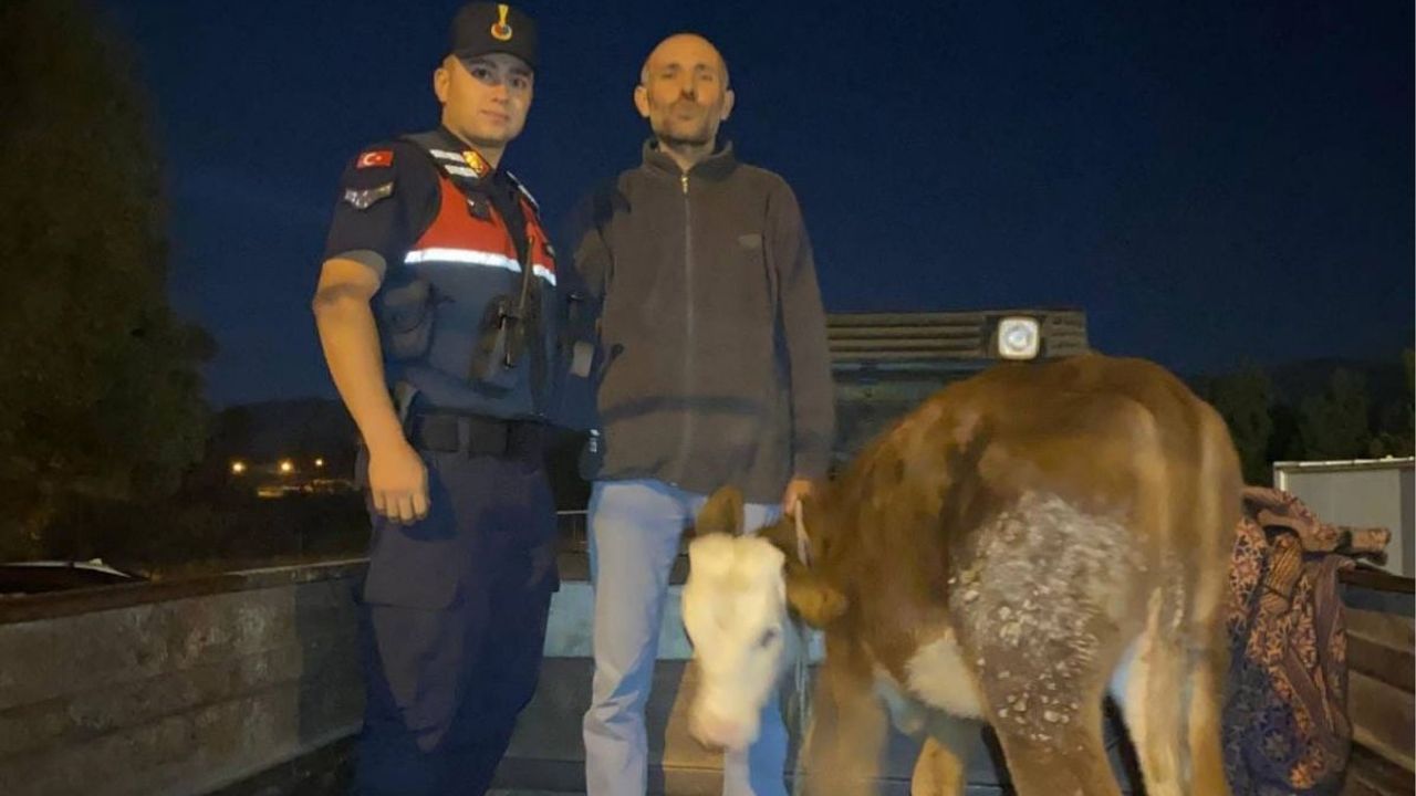 Kayseri'den Çalınan Hayvan Kahramanmaraş'ta Bulundu!