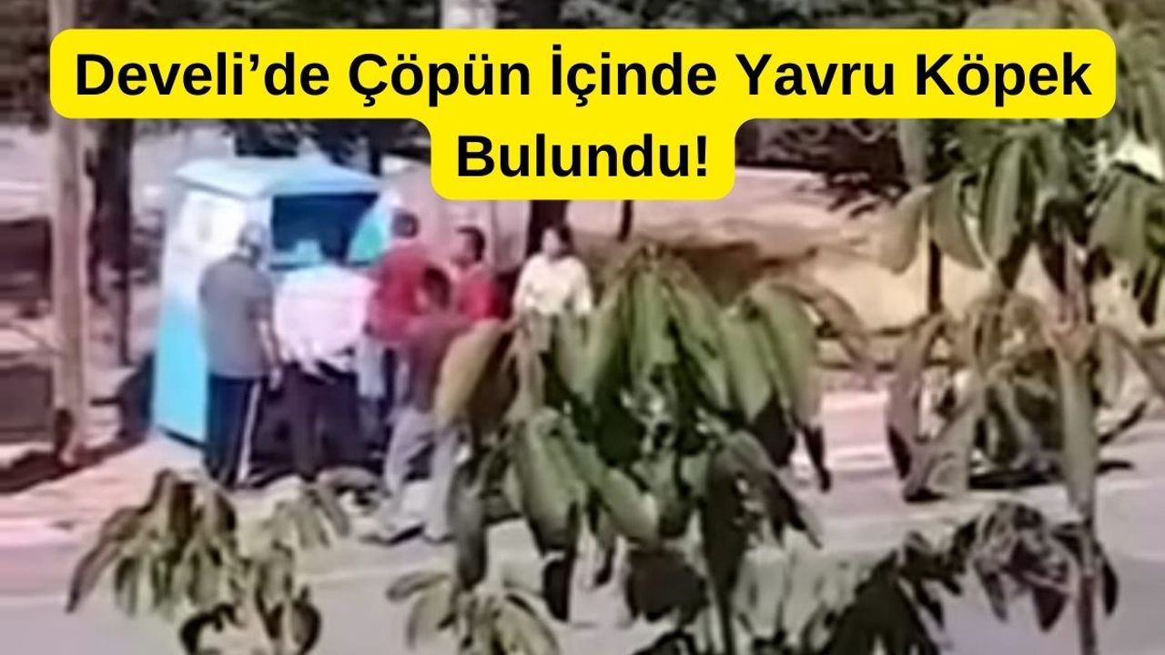 Develi’de Yavru Köpek Çöpe Atıldı!
