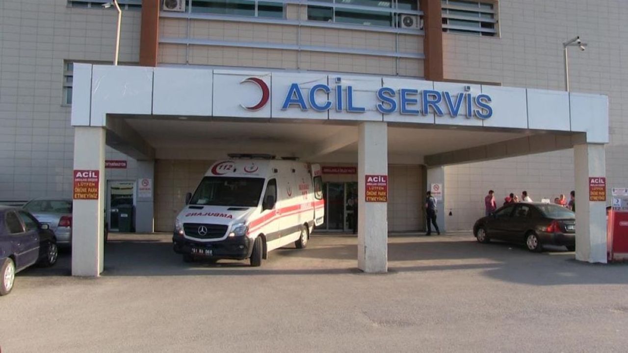 Elma Toplamak İçin Ağaca Çıkan Adam, Feci Şekilde Can Verdi!