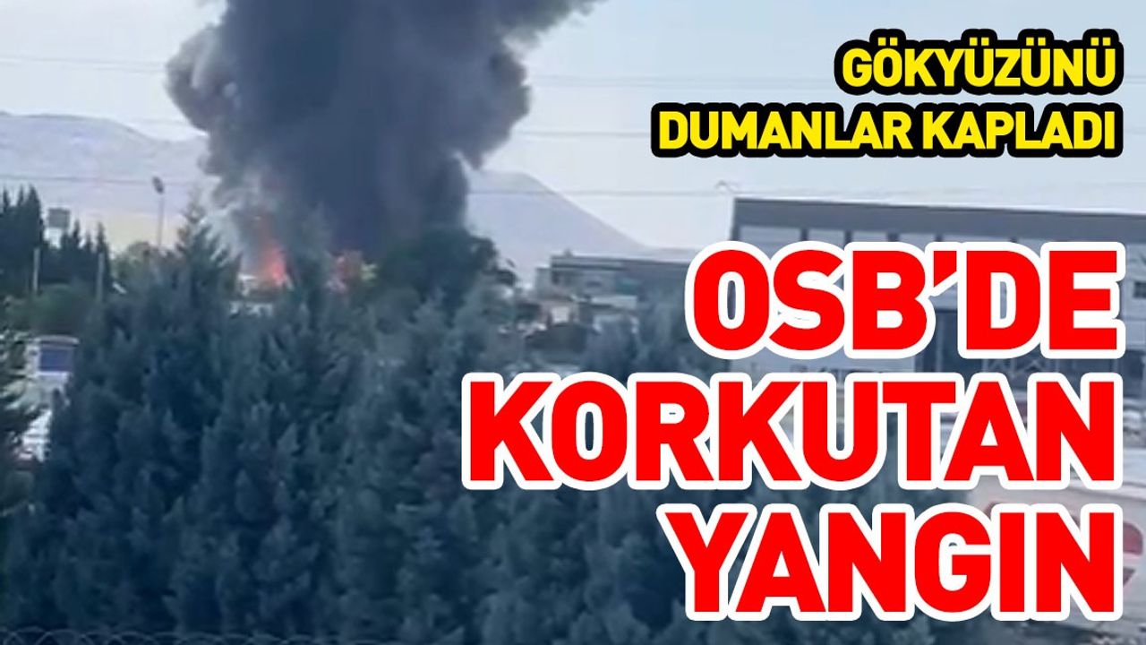 Kayseri OSB'de Korkutan Yangın!