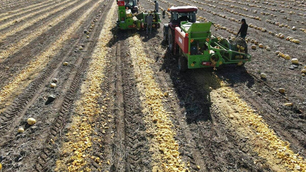 Kayseri’de Beklenen An Geldi! Hasat Başladı