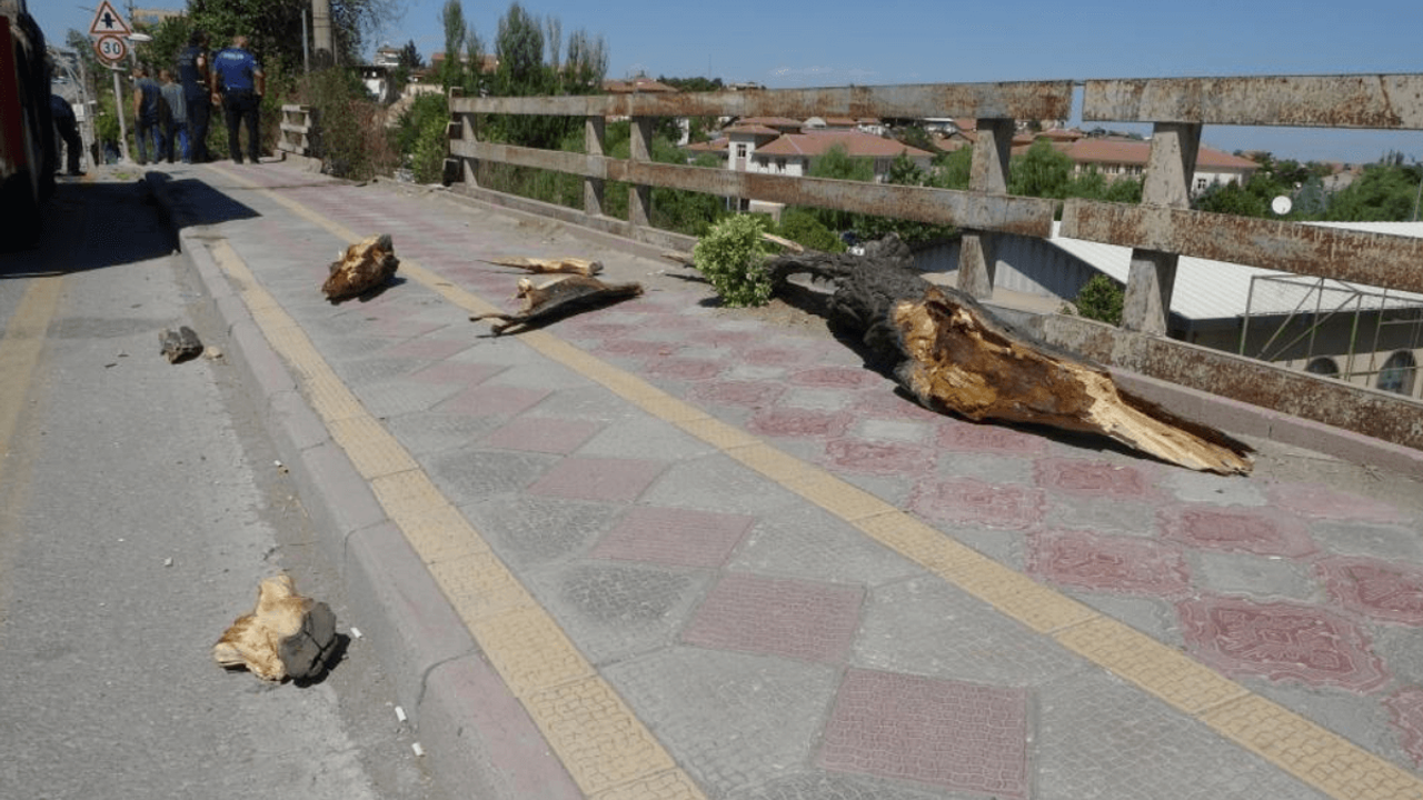 İlginç Kaza: Köprüden Uçan Otomobil Asılı Kaldı!