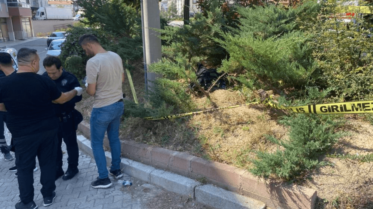 Yol Kenarındaki Çalılıkların İçinde Erkek Cesedi Bulundu!