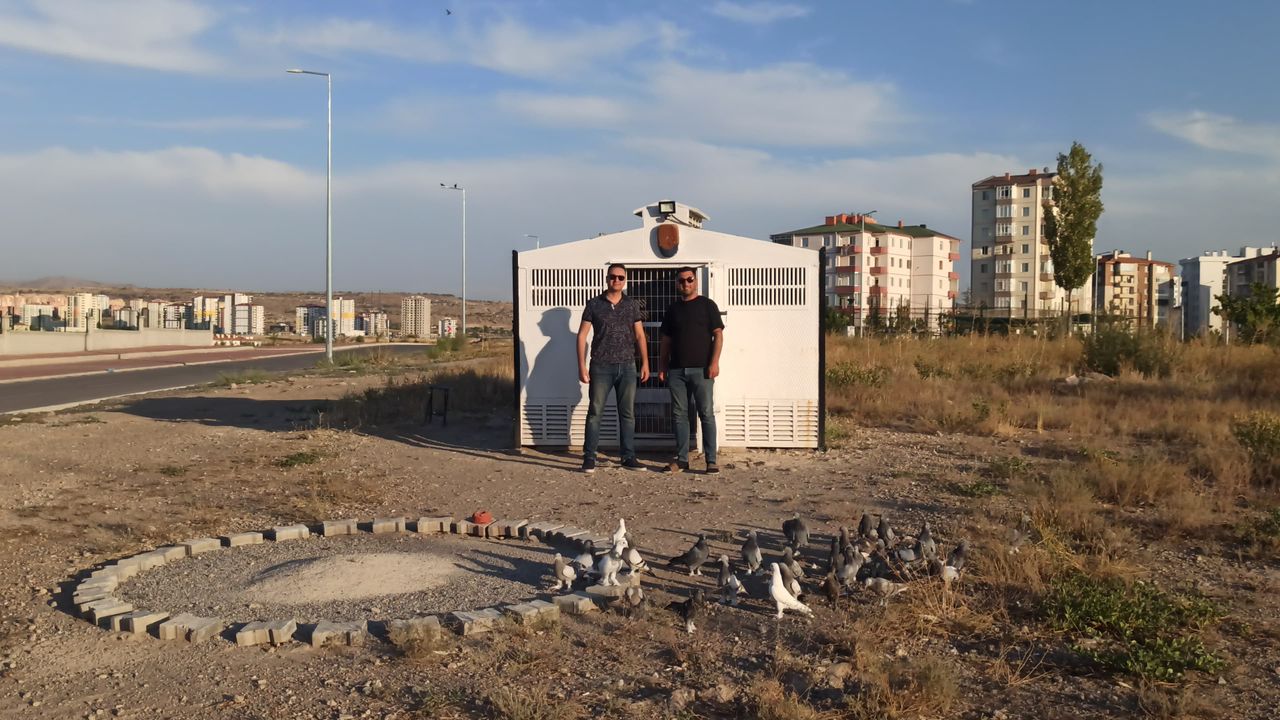 Bu Kuşların Değeri 20 Milyon! Görenler Hayran Kalıyor