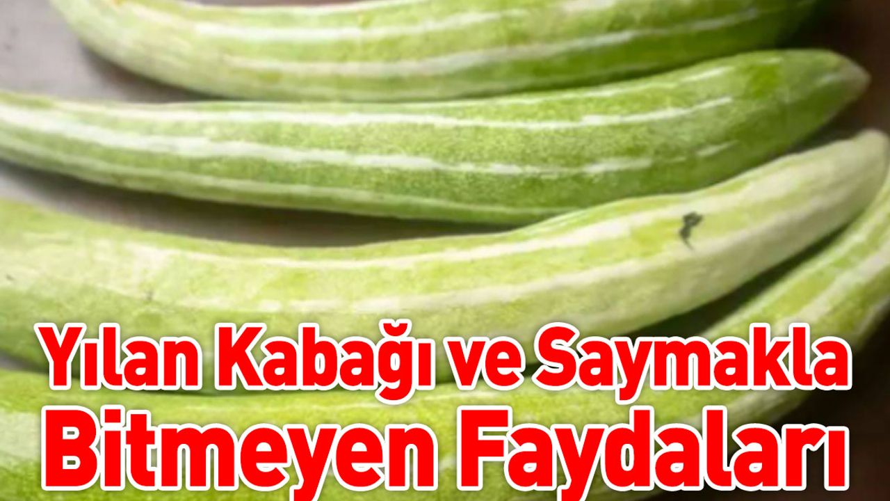 Yılan Kabağı ve Saymakla Bitmeyen Faydaları