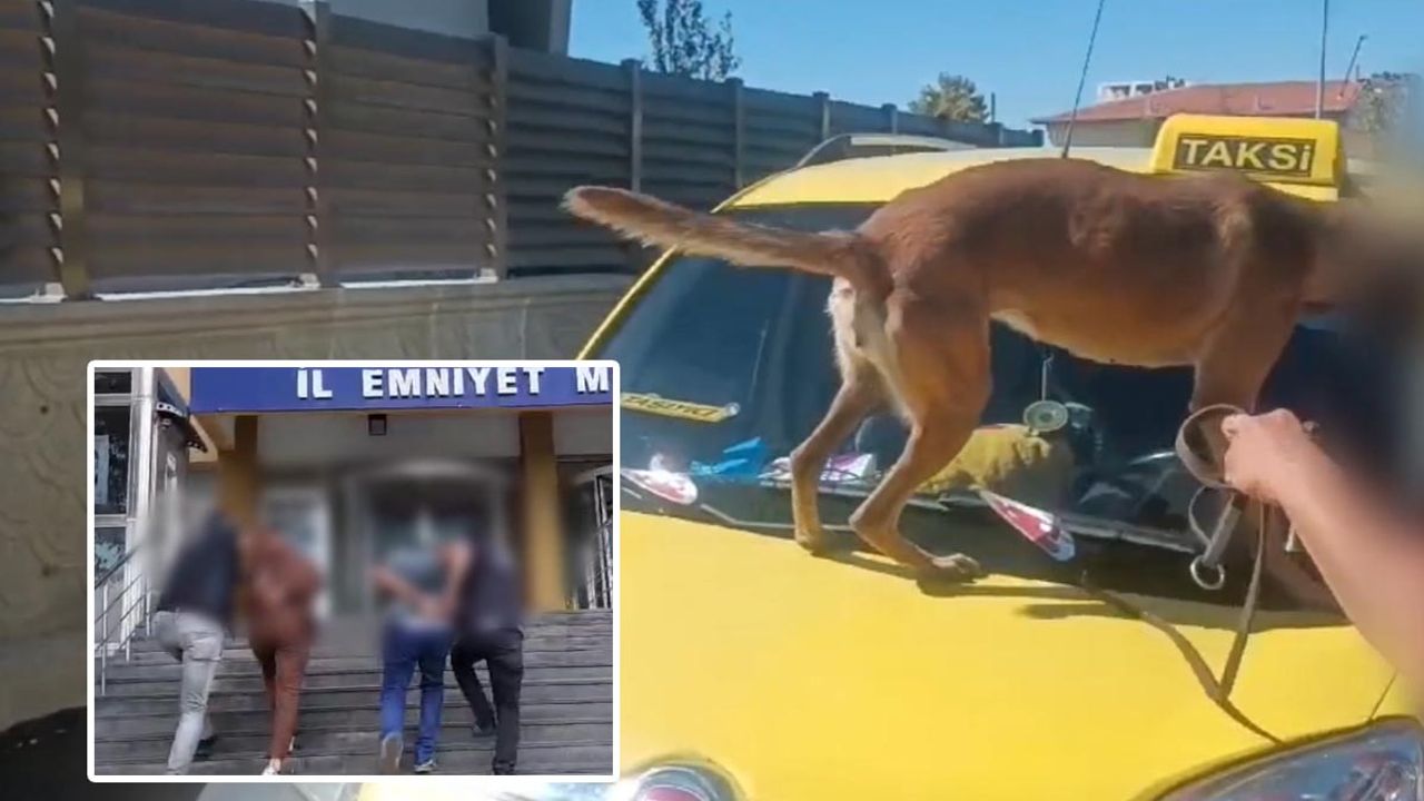 Kayseri'de Zehir Tacirleri Bakın Nereye Zula Yapmış?