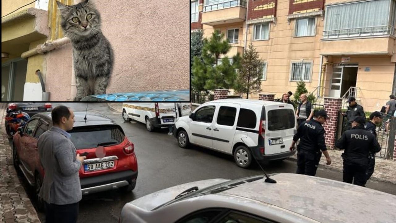 Akıl almaz olay: 80 yaşındaki emekli öğretmenin kedi yüzünden silahla vurduğu komşusu öldü!