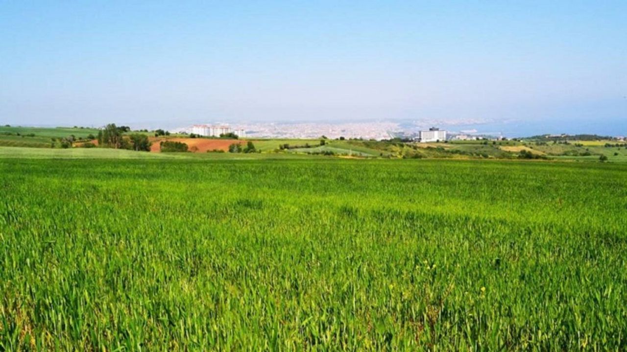 Tarım ile ilgisi olan herkes hesaplarını kontrol etsin! Gece yarısı ödeme yapıldı