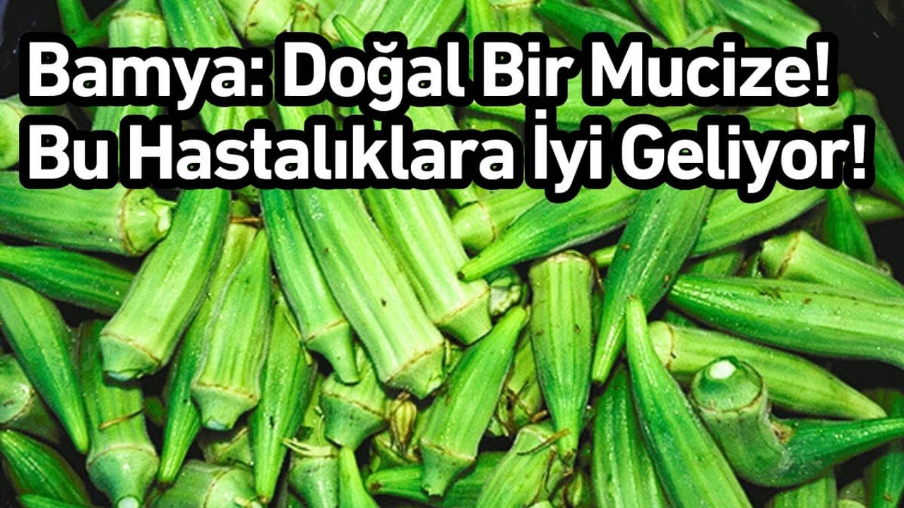 Bamya: Doğal Bir Mucize! Bu Hastalıklara İyi Geliyor!