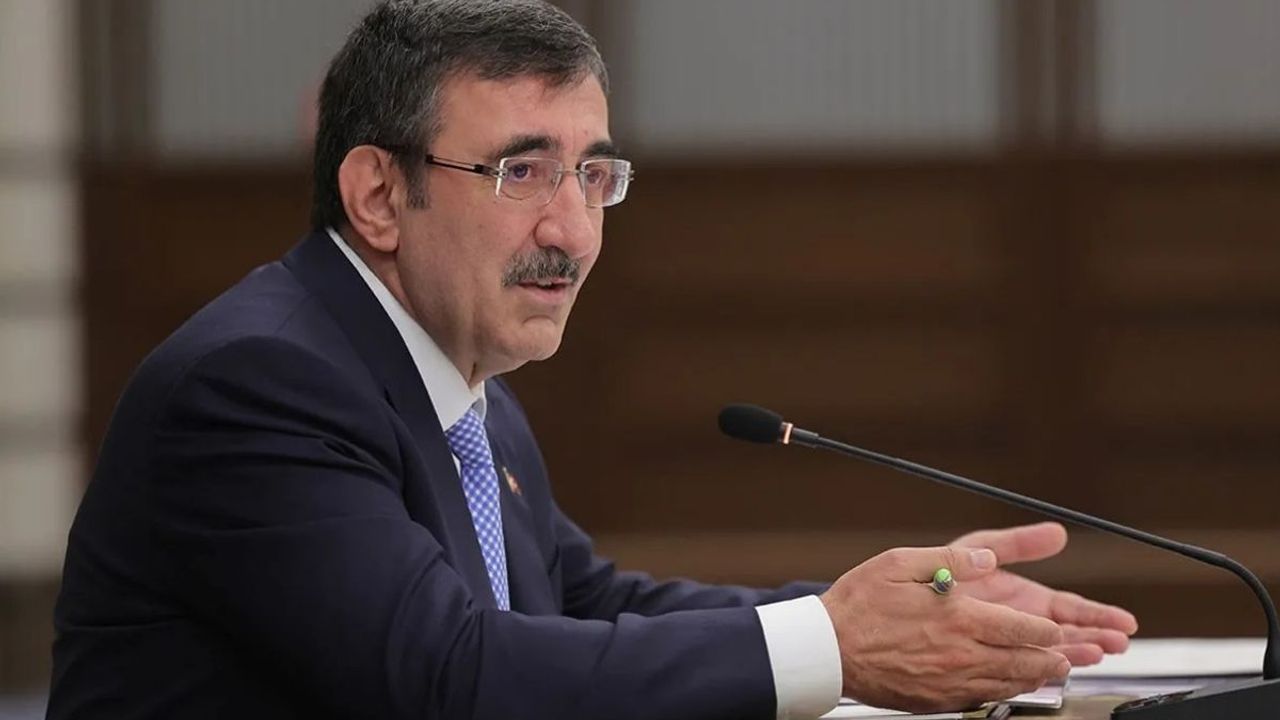 Cumhurbaşkanı Yardımcısı’ndan dikkat çeken enflasyon açıklaması