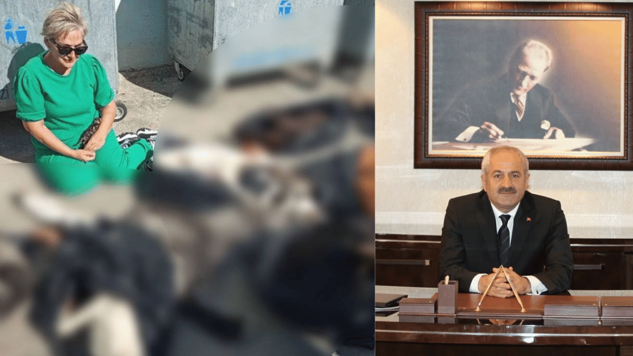 AKP'li Gebze Belediye Başkanı hayvanseverleri suçladı!