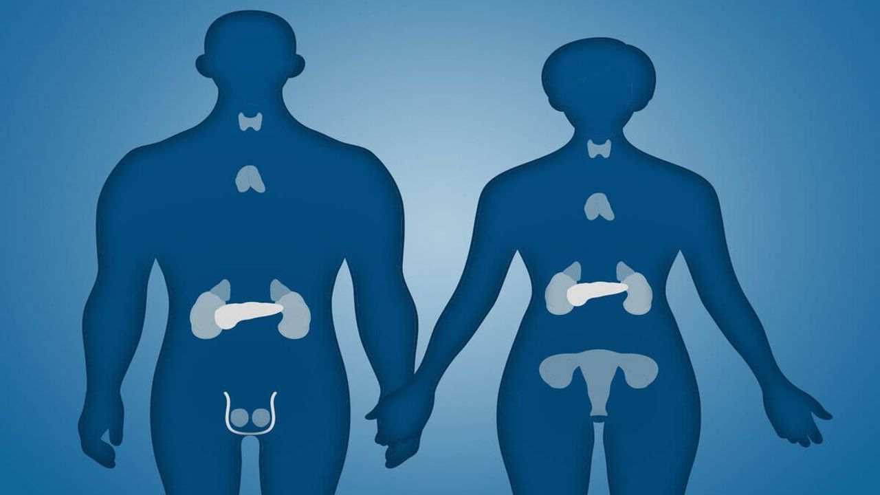 Hormon Bozukluğunun Fark Edilmeyen 7 Tehlikeli Sinyali!